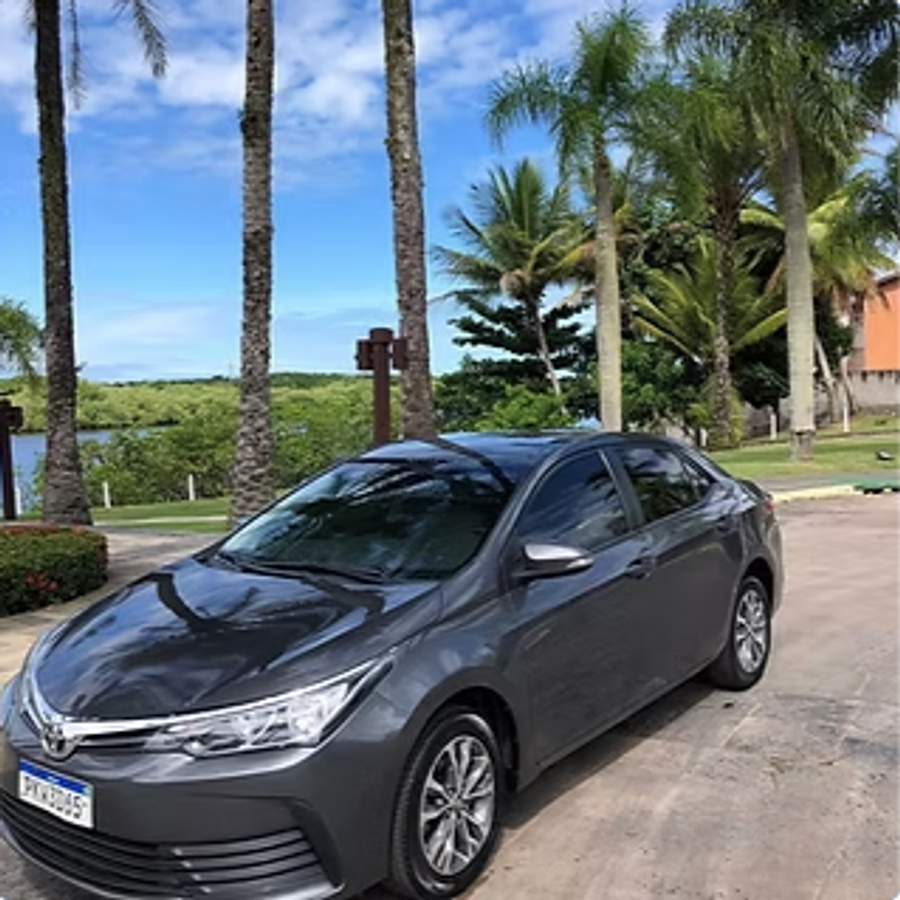 Toyota Corolla cinza estacionado entre coqueiros em Ilhéus