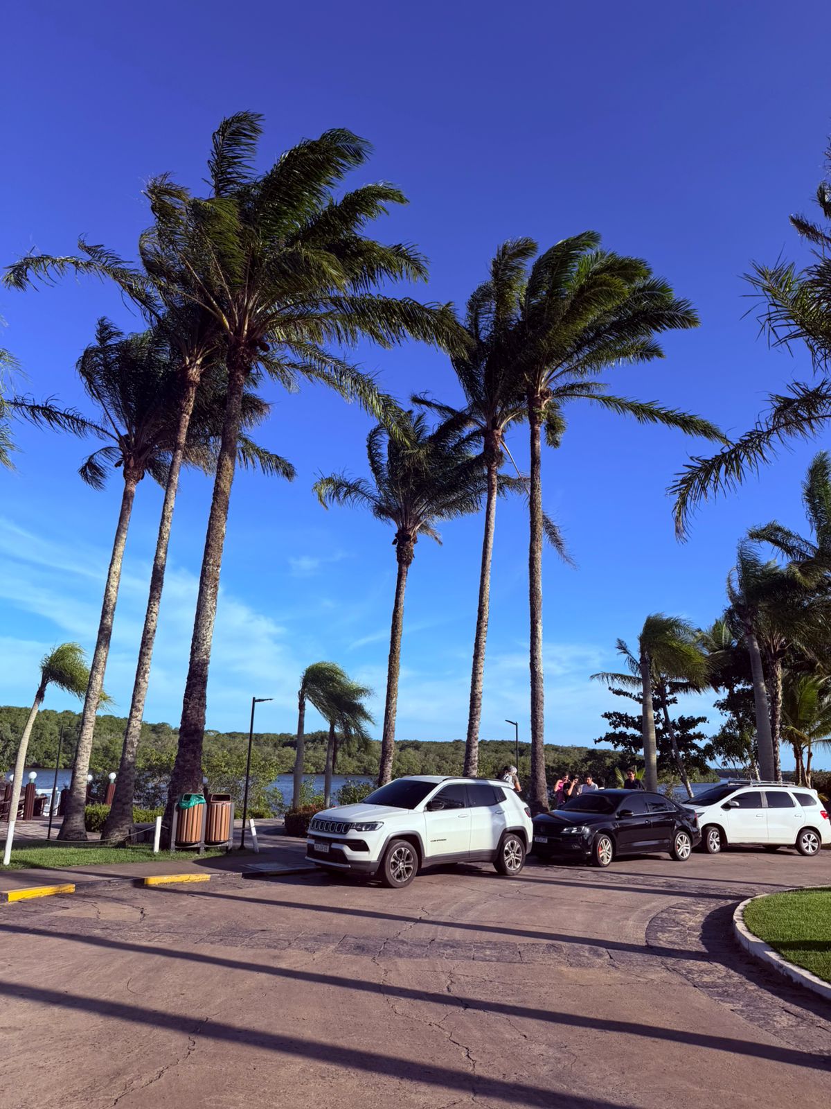 Registro real de transfer ou passeio da LR Transfer Ilhéus no sul da Bahia, foto 2