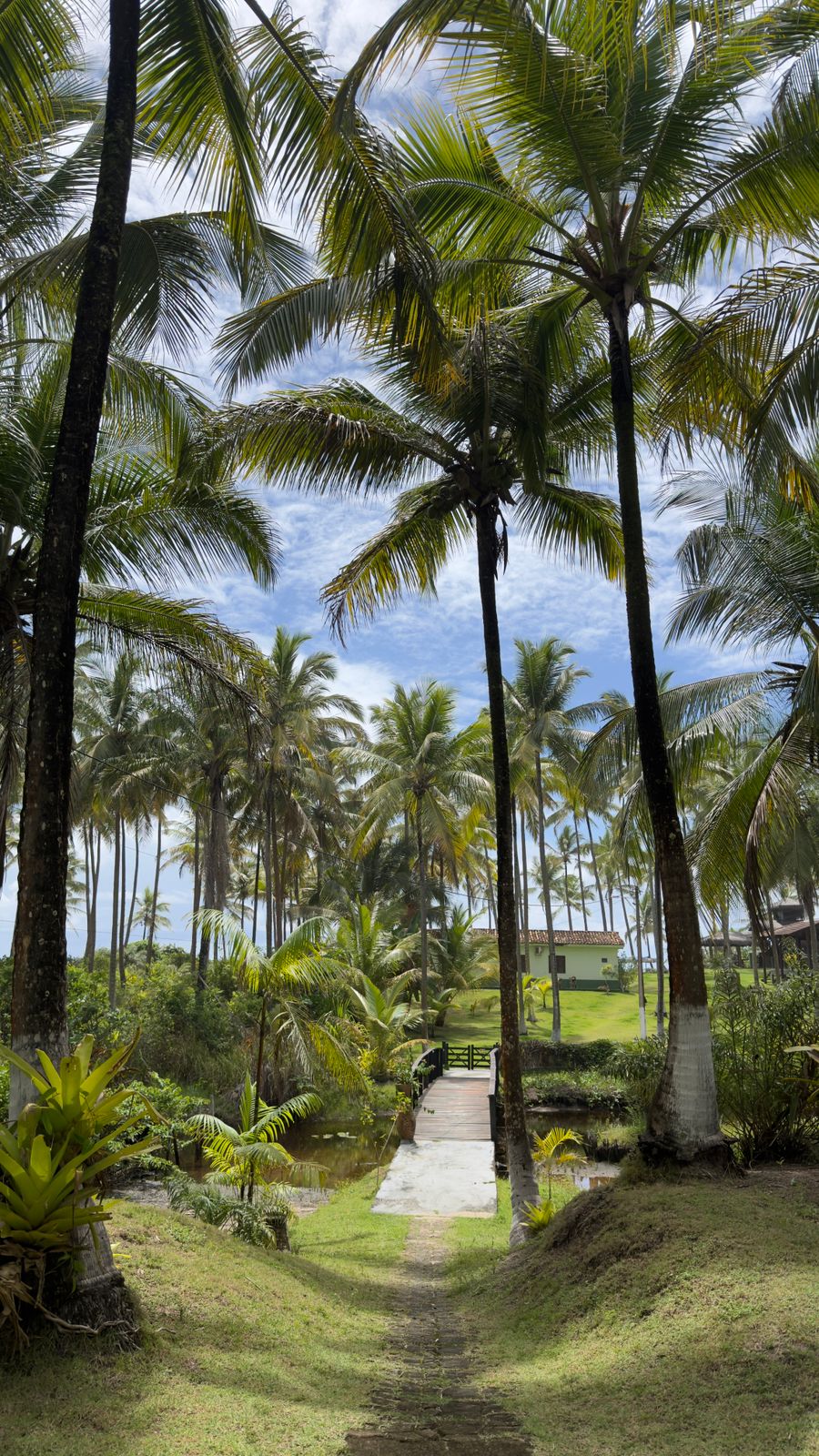Registro real de transfer ou passeio da LR Transfer Ilhéus no sul da Bahia, foto 10